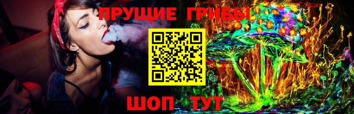 Псилоцибиновые грибы мицелий Амурск